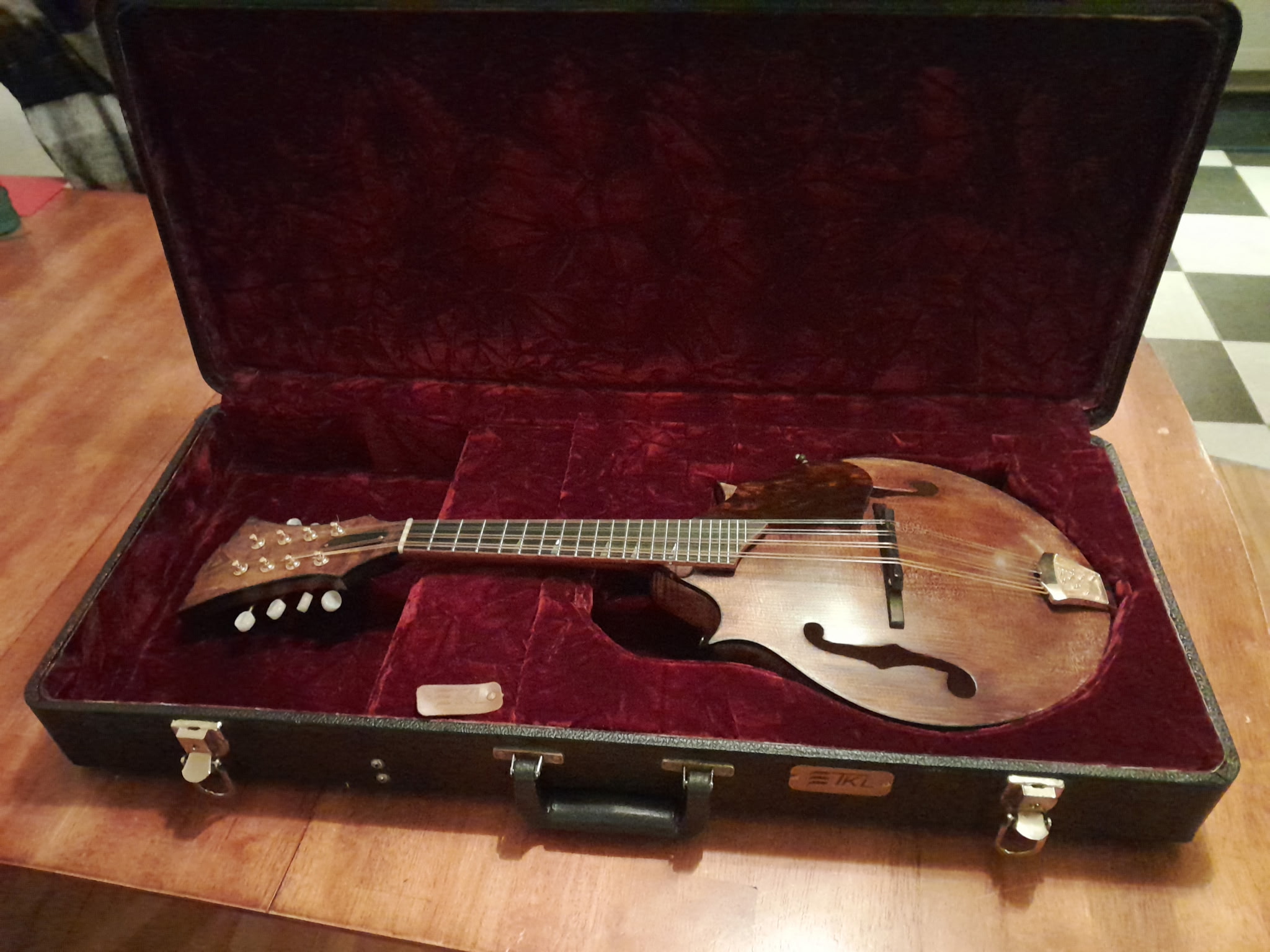 Mandolin View 4